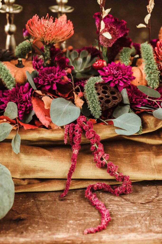 Amaranto Guadato porpora