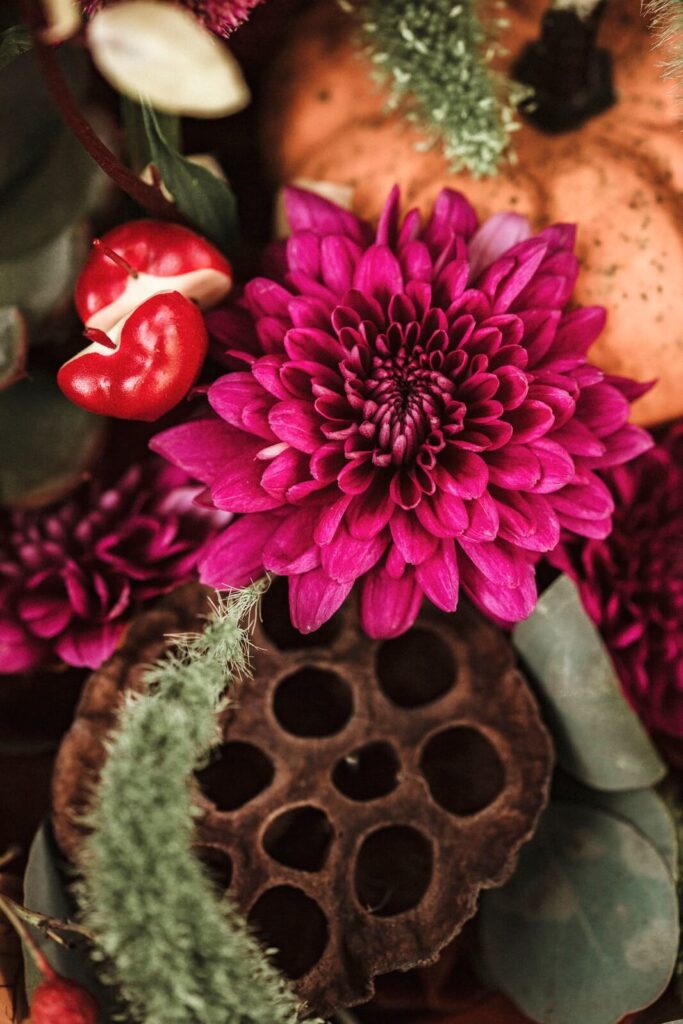 Dalia porpora e Lotus